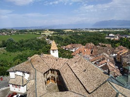 View from the tower