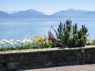 Baie-de-Morges with Mont Blanc