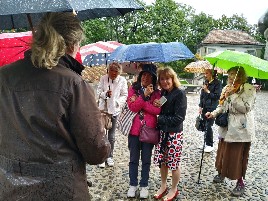 Garden Instructions outside